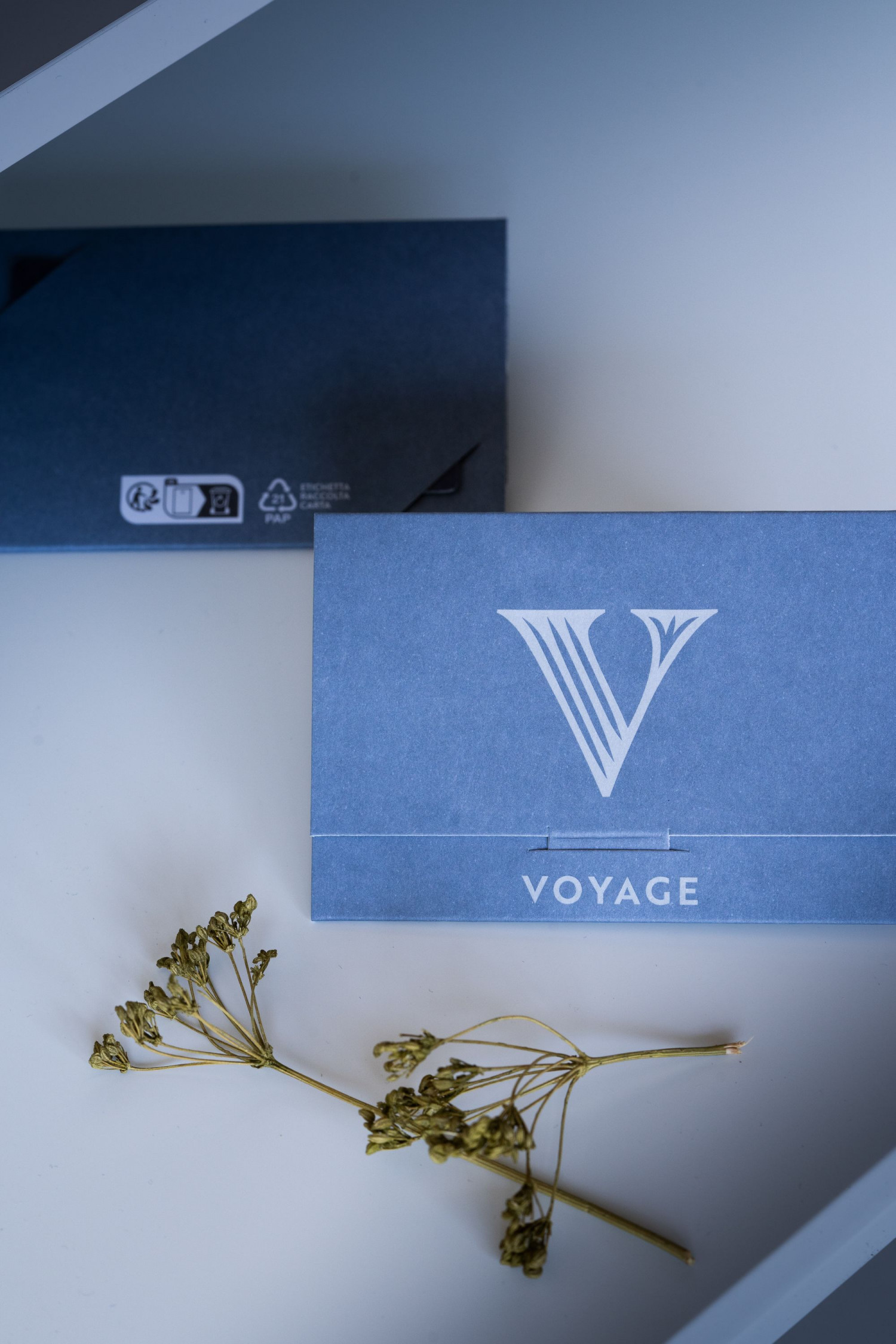 VOYAGE Collection
